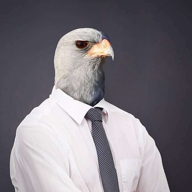 Studio portrait of a businessperson with an eagle head