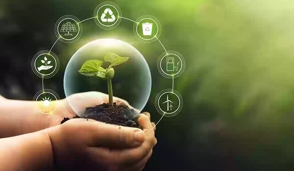 يدان تحملان نبتة تنمو وسط رموز الاستدامة والطاقة، يمثل تمويل المشاريع الناشئة لتحقيق نمو مستدام.