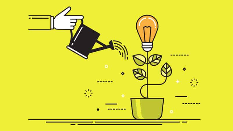 رسم يوضح يد تسقي نباتاً على شكل مصباح، يرمز لريادة الأعمال الاجتماعية وتنمية فكرة مشروع اجتماعي.