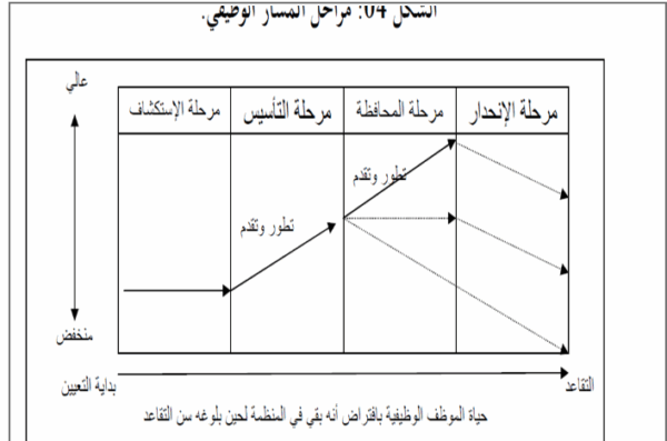 مراحل تطور المسار الوظيفي